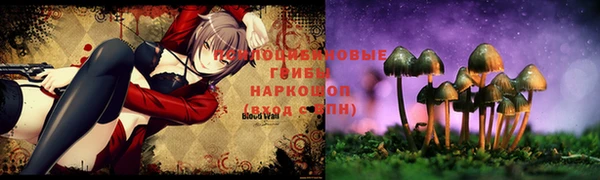 кристаллы Бородино