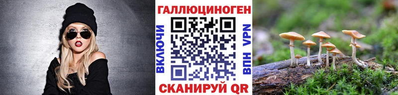 купить наркотик  Иркутск  Галлюциногенные грибы Psilocybe 